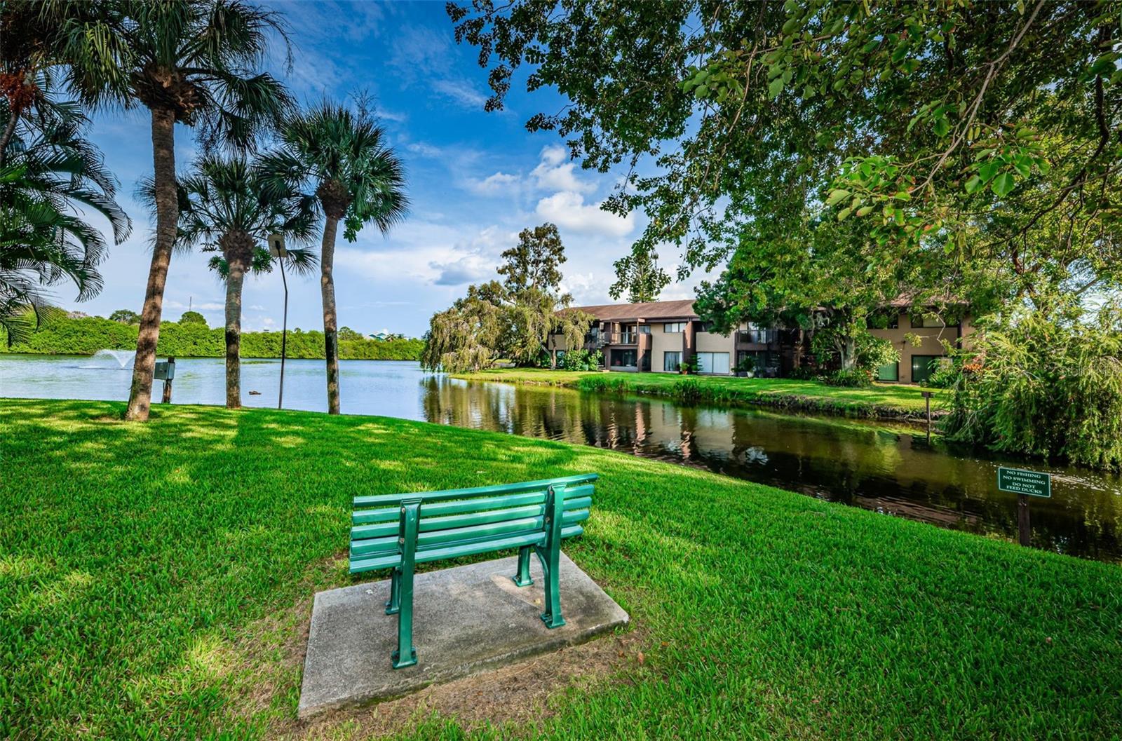 781 VILLAGE LAKE TER N #101A, ST PETERSBURG, FL, 33716
