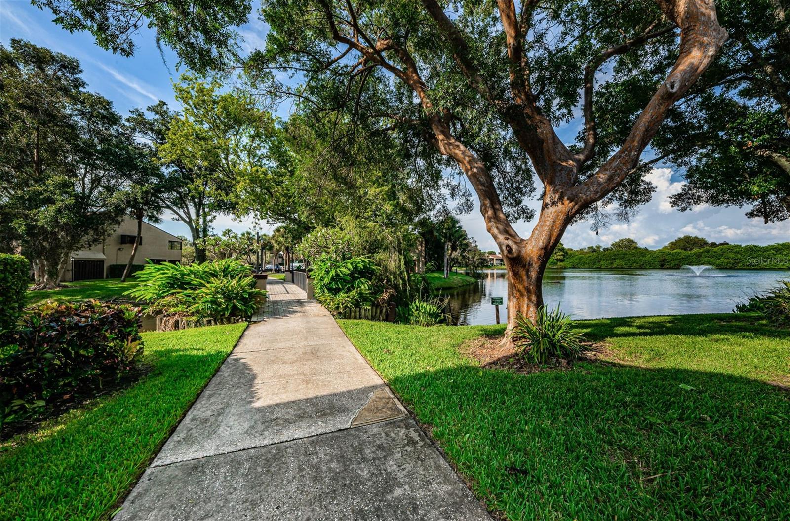 781 VILLAGE LAKE TER N #101A, ST PETERSBURG, FL, 33716