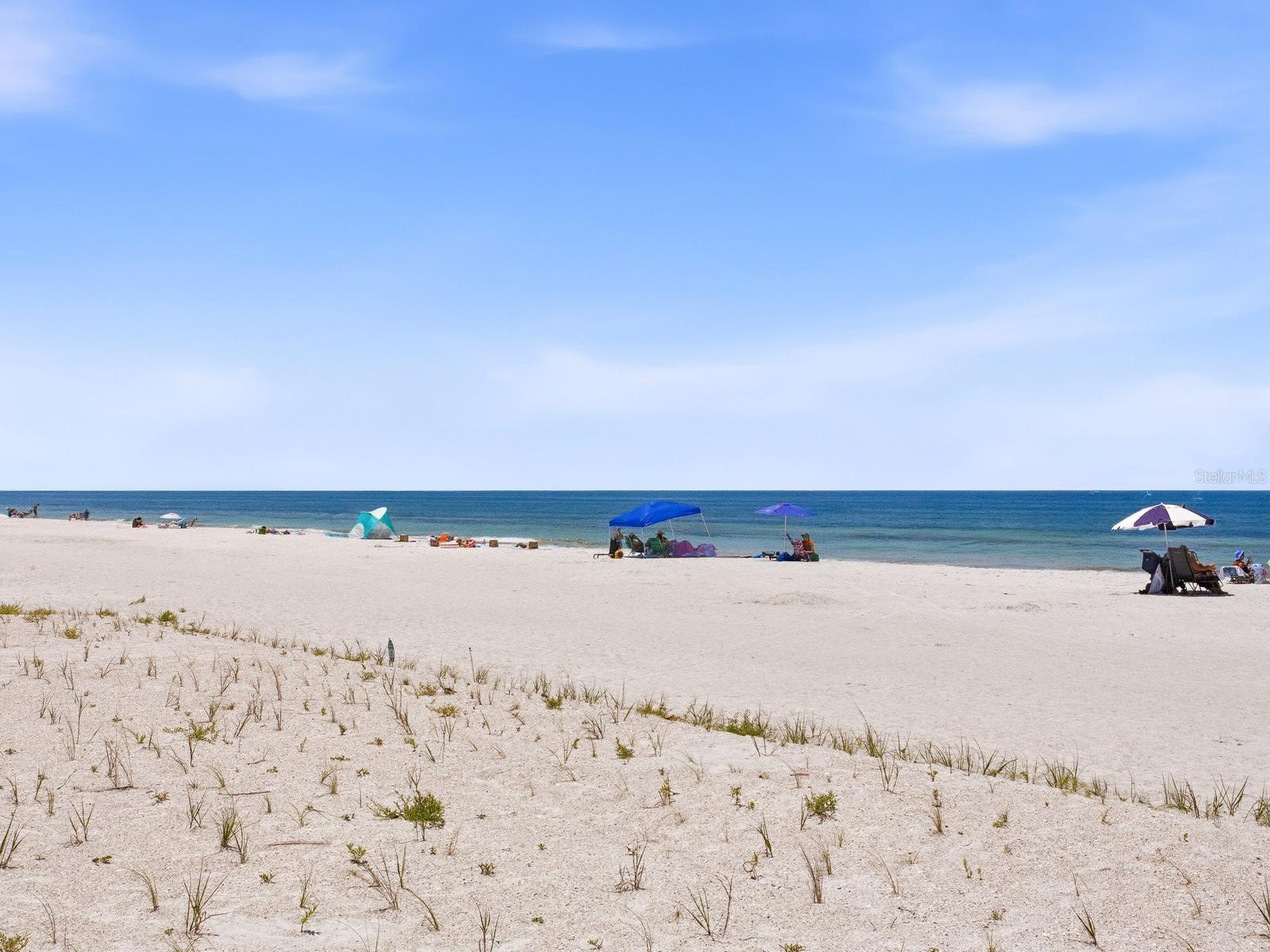 1005 GULF BLVD #10, INDIAN ROCKS BEACH, FL, 33785