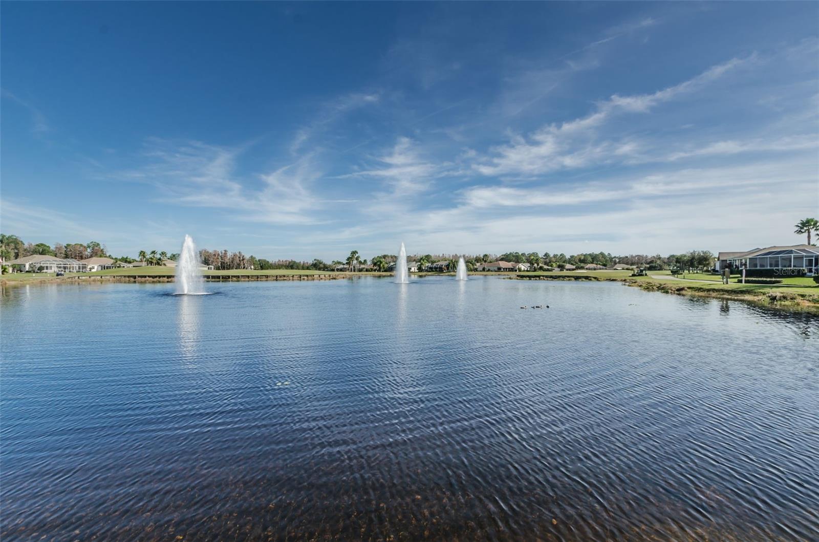 11917 HADLEIGH WAY, TRINITY, FL, 34655