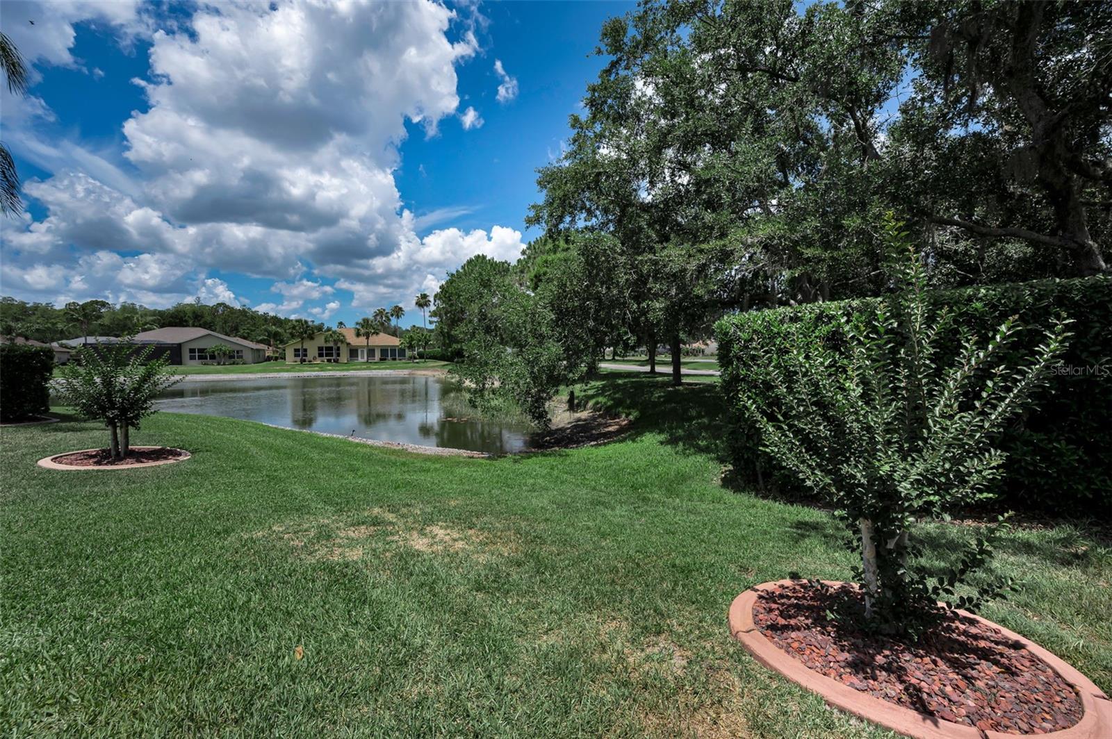11917 HADLEIGH WAY, TRINITY, FL, 34655