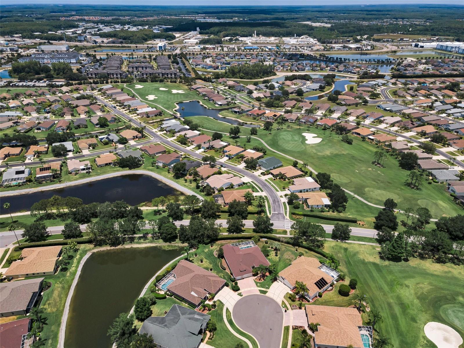 11917 HADLEIGH WAY, TRINITY, FL, 34655