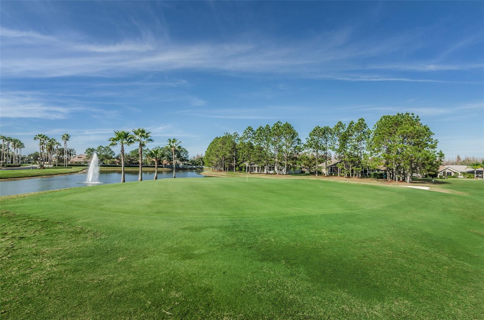 11917 HADLEIGH WAY, TRINITY, FL, 34655