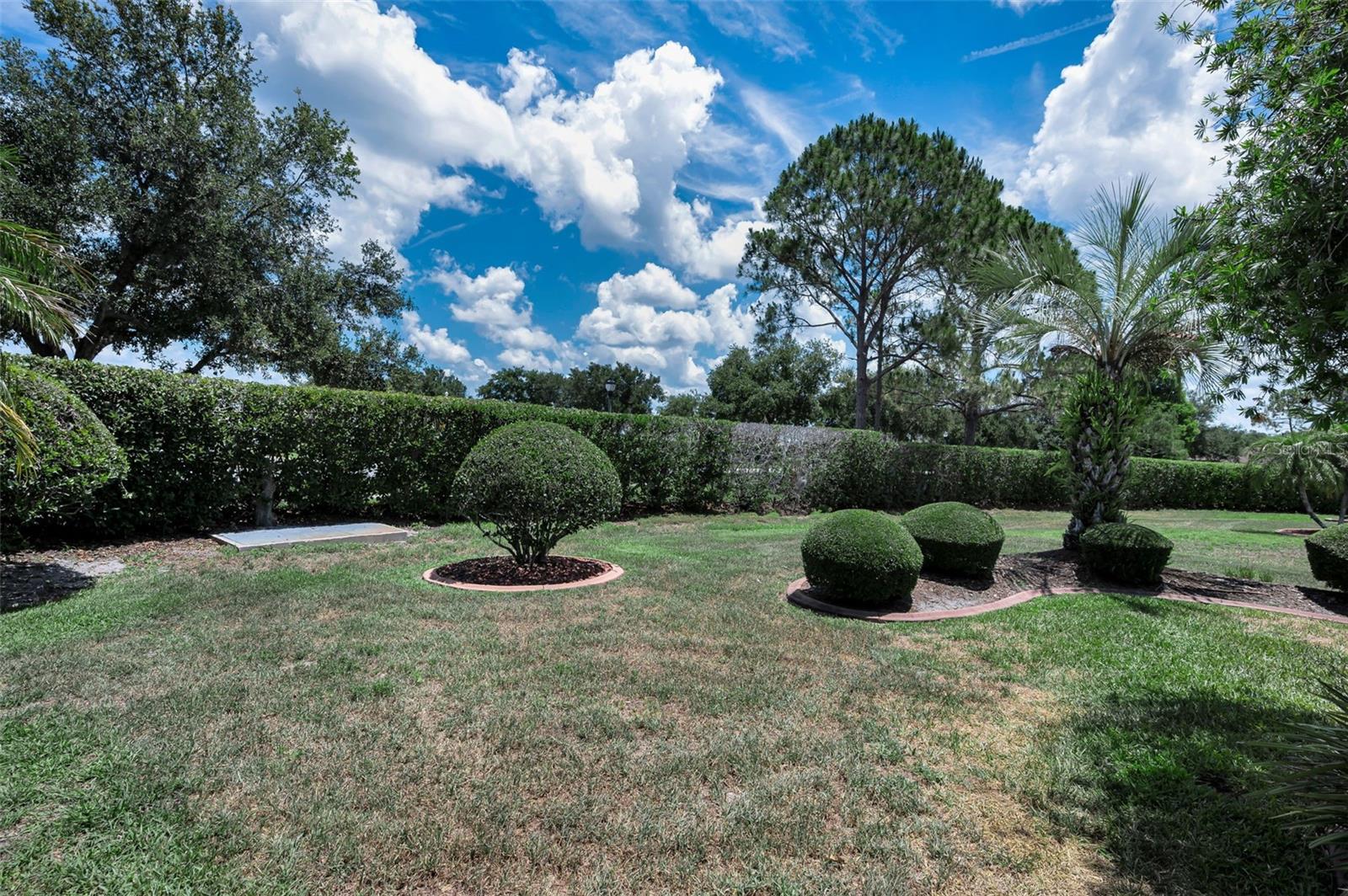 11917 HADLEIGH WAY, TRINITY, FL, 34655