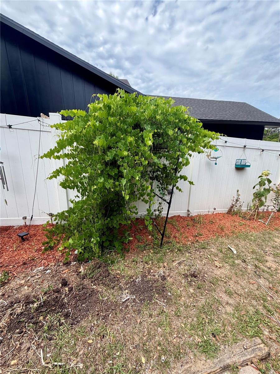 700 W DAMPIER ST, INVERNESS, FL, 34450