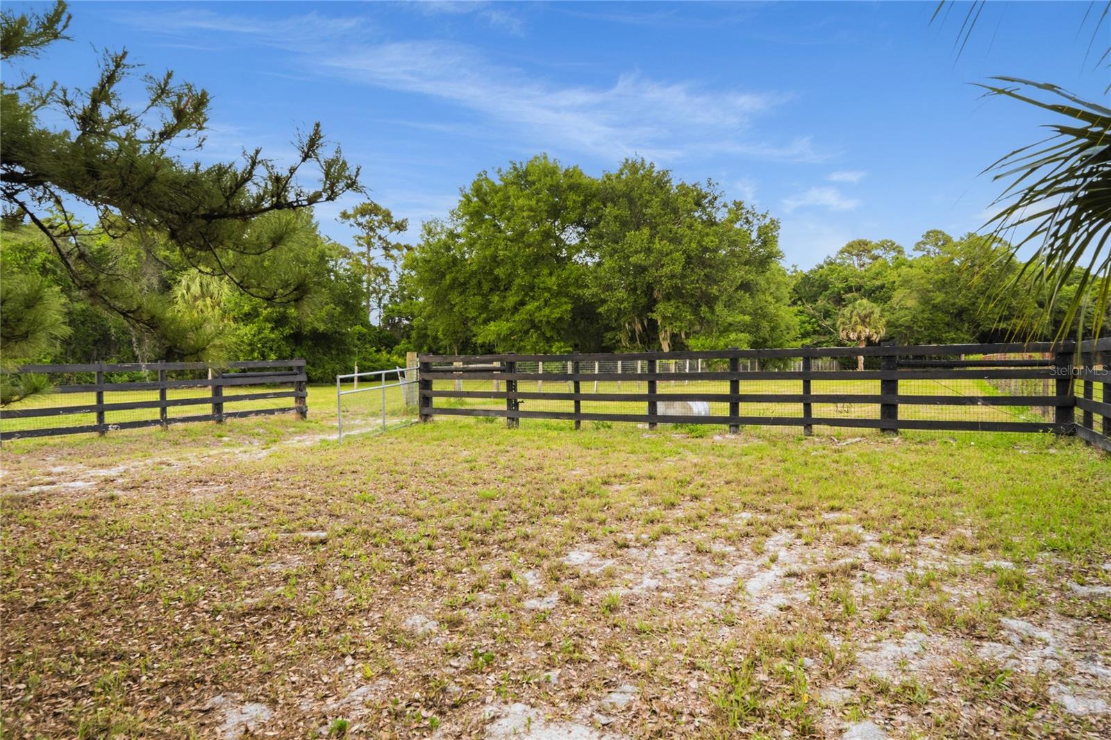 3901 N APOPKA VINELAND RD, ORLANDO, FL, 32818