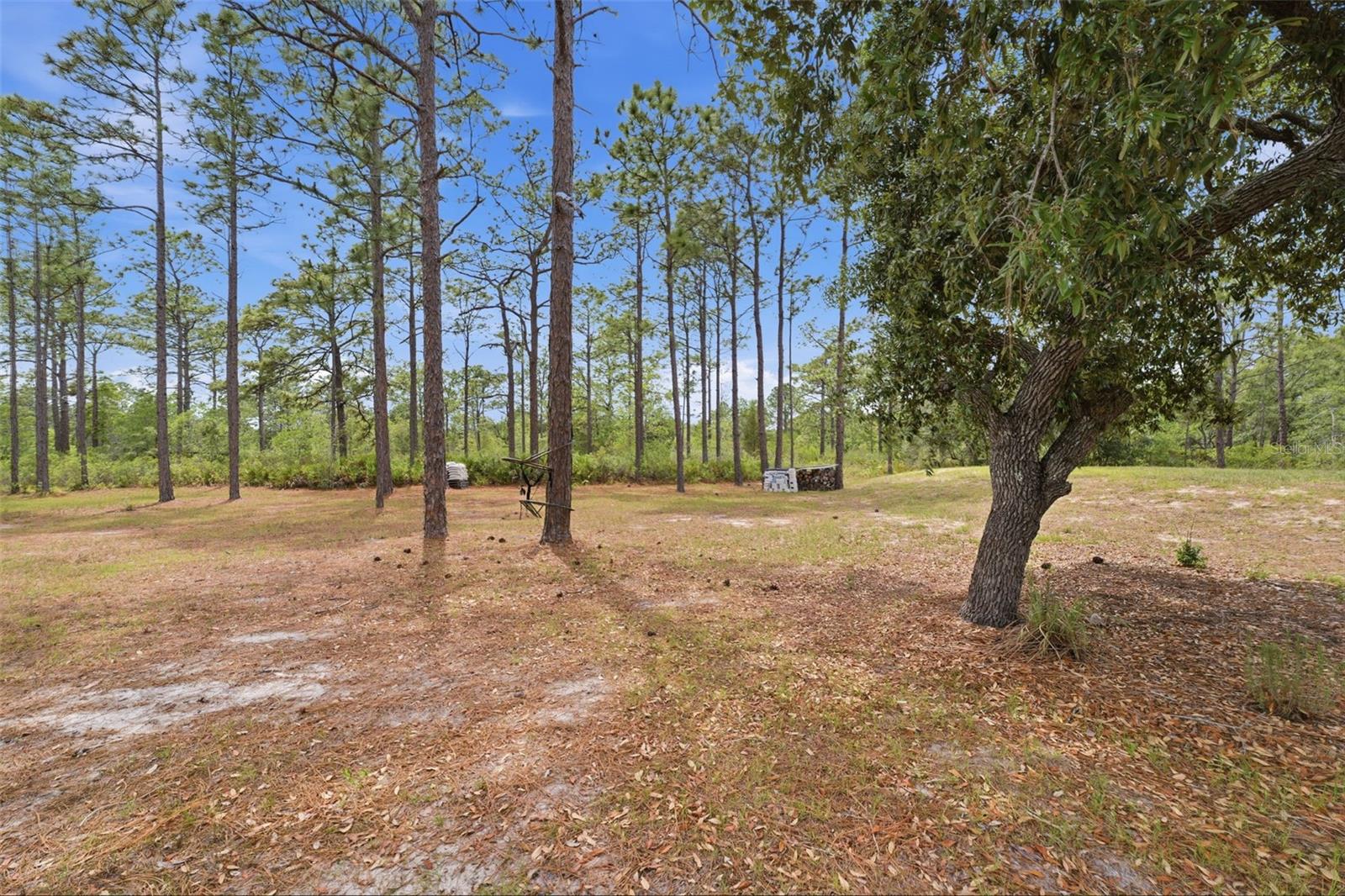 18043 PALMDALE RD, WEEKI WACHEE, FL, 34614