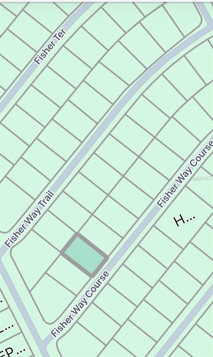 TBD FISHER WAY CRSE, OCKLAWAHA, FL, 32179