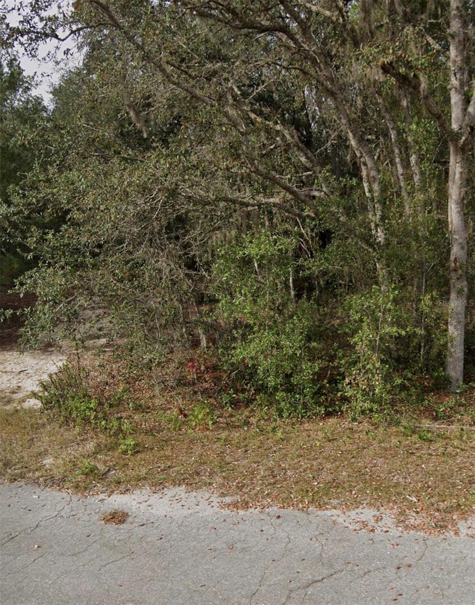 TBD FISHER WAY CRSE, OCKLAWAHA, FL, 32179