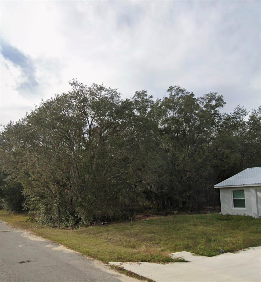 TBD FISHER WAY CRSE, OCKLAWAHA, FL, 32179