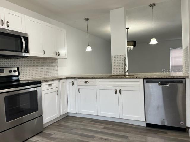 11365 BROOKGREEN DR, TAMPA, FL, 33624