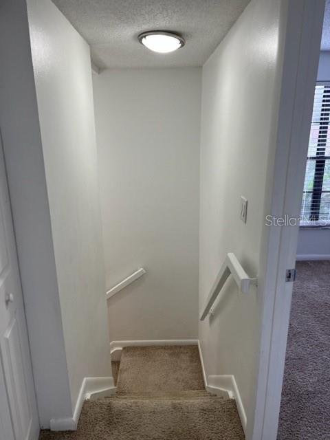 11365 BROOKGREEN DR, TAMPA, FL, 33624