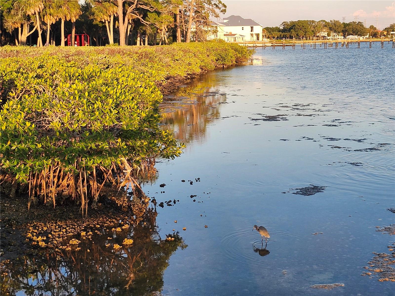 3071 HURON AVE, OLDSMAR, FL, 34677