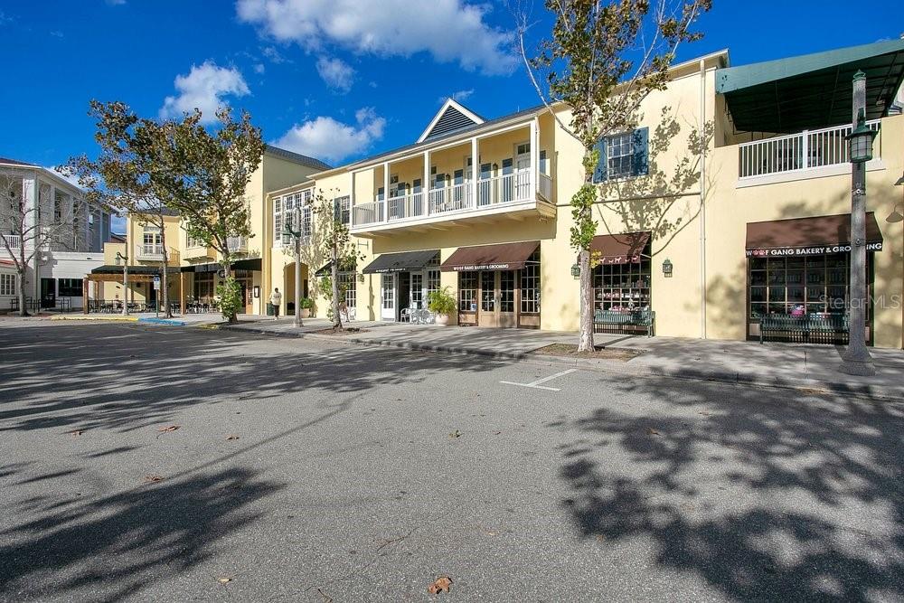 1013 MAIDEN TER, CELEBRATION, FL, 34747