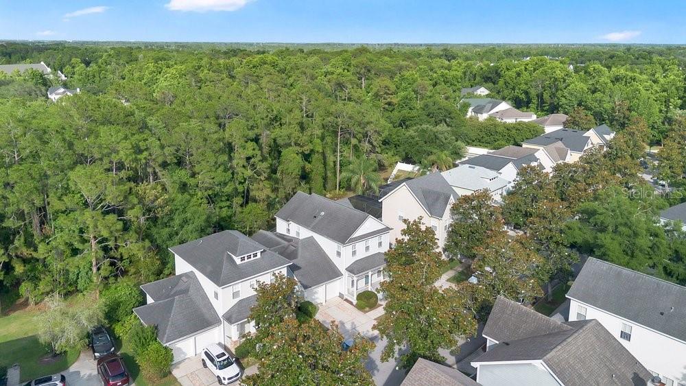 1013 MAIDEN TER, CELEBRATION, FL, 34747