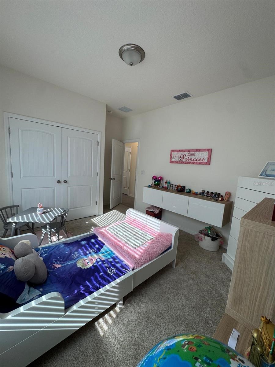 16236 CARRAWAY BAY ALY, WINTER GARDEN, FL, 34787