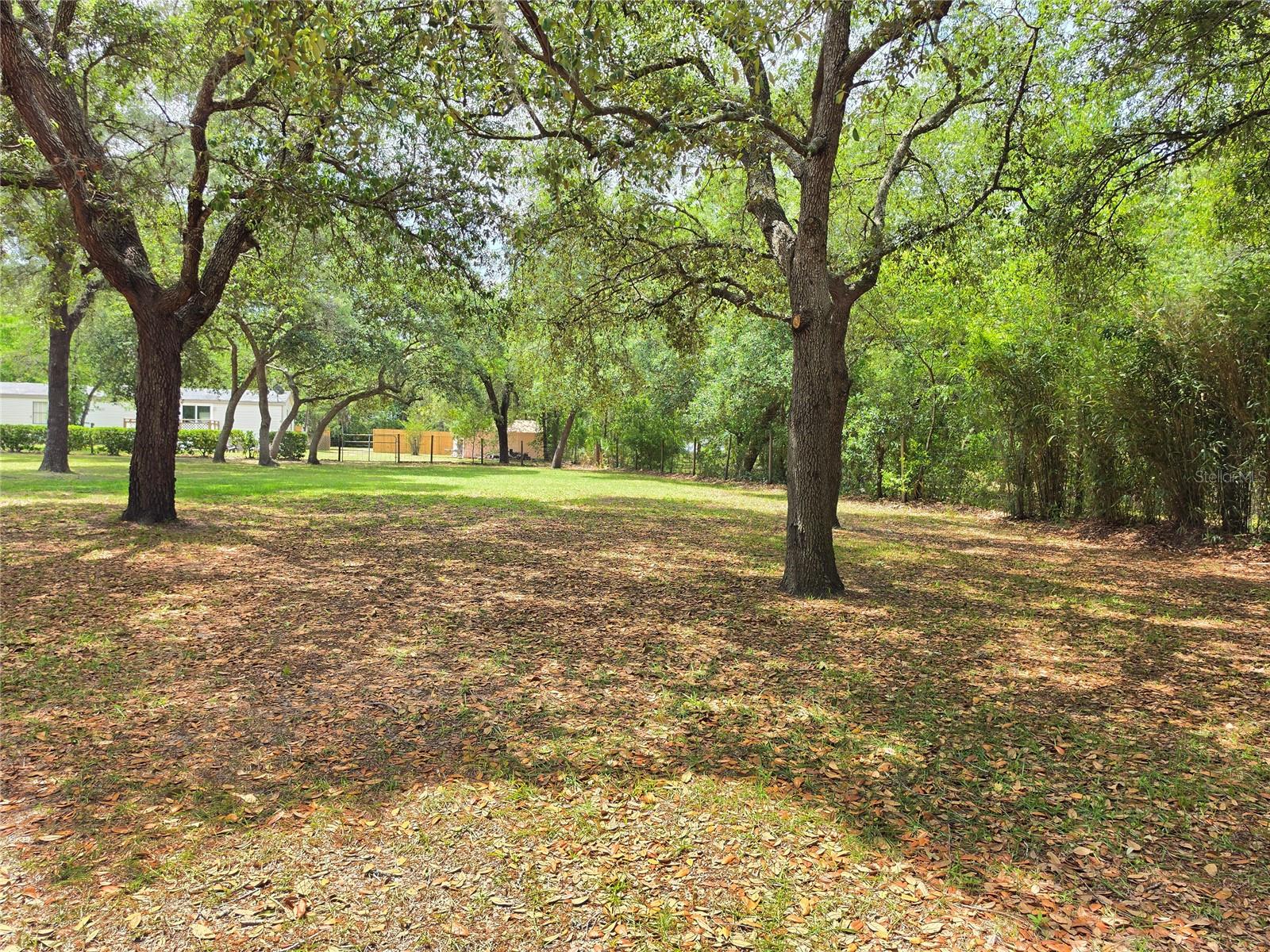 6398 S TROPICANA AVE, LECANTO, FL, 34461