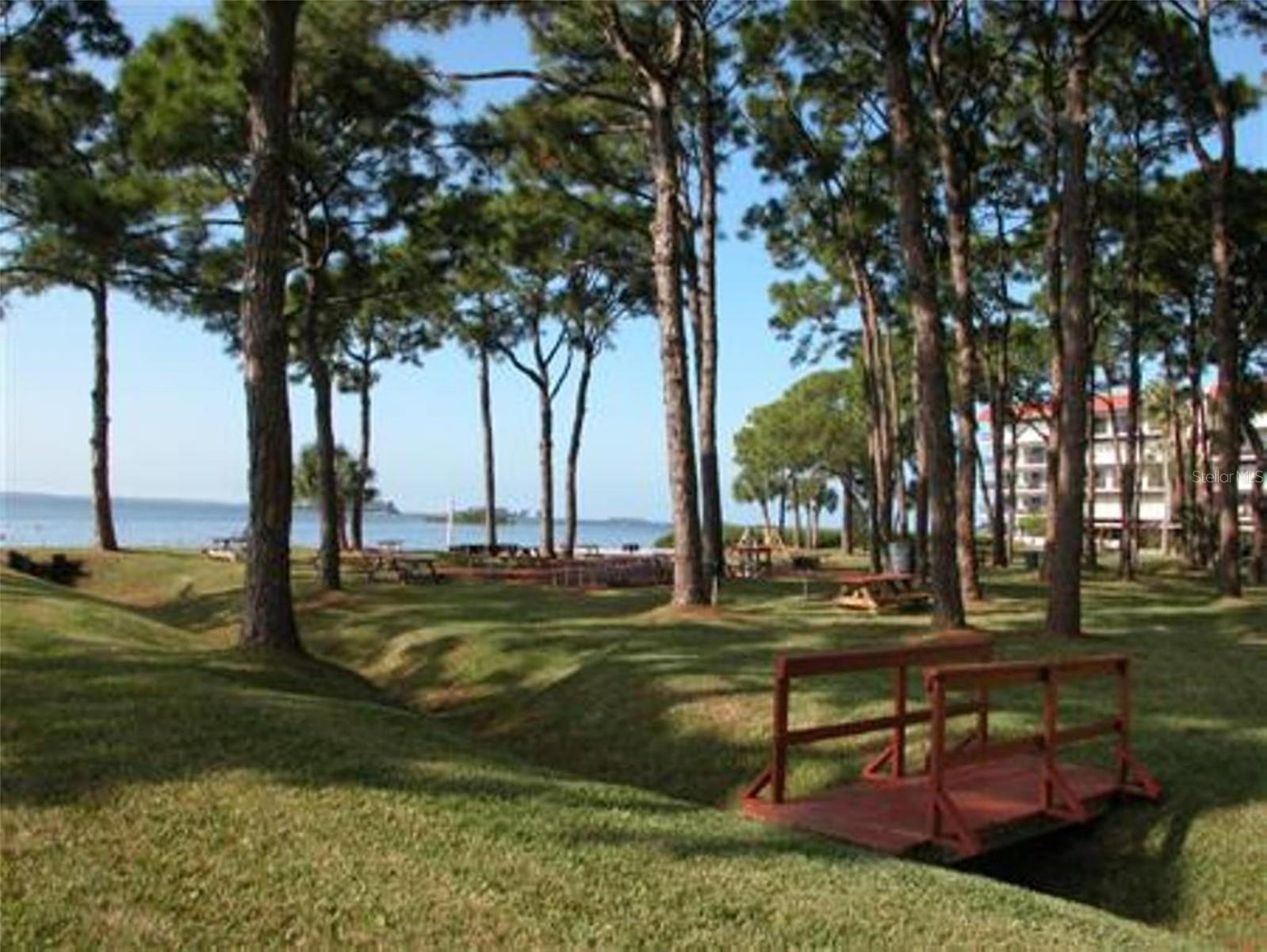 2700 BAYSHORE BLVD #4312, DUNEDIN, FL, 34698