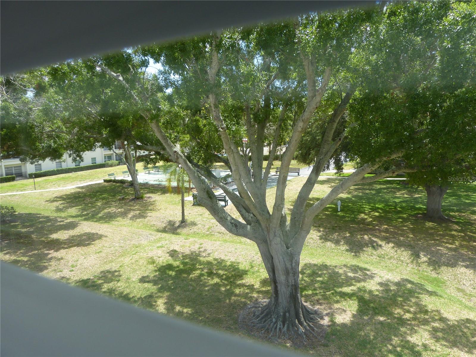 2700 BAYSHORE BLVD #4312, DUNEDIN, FL, 34698