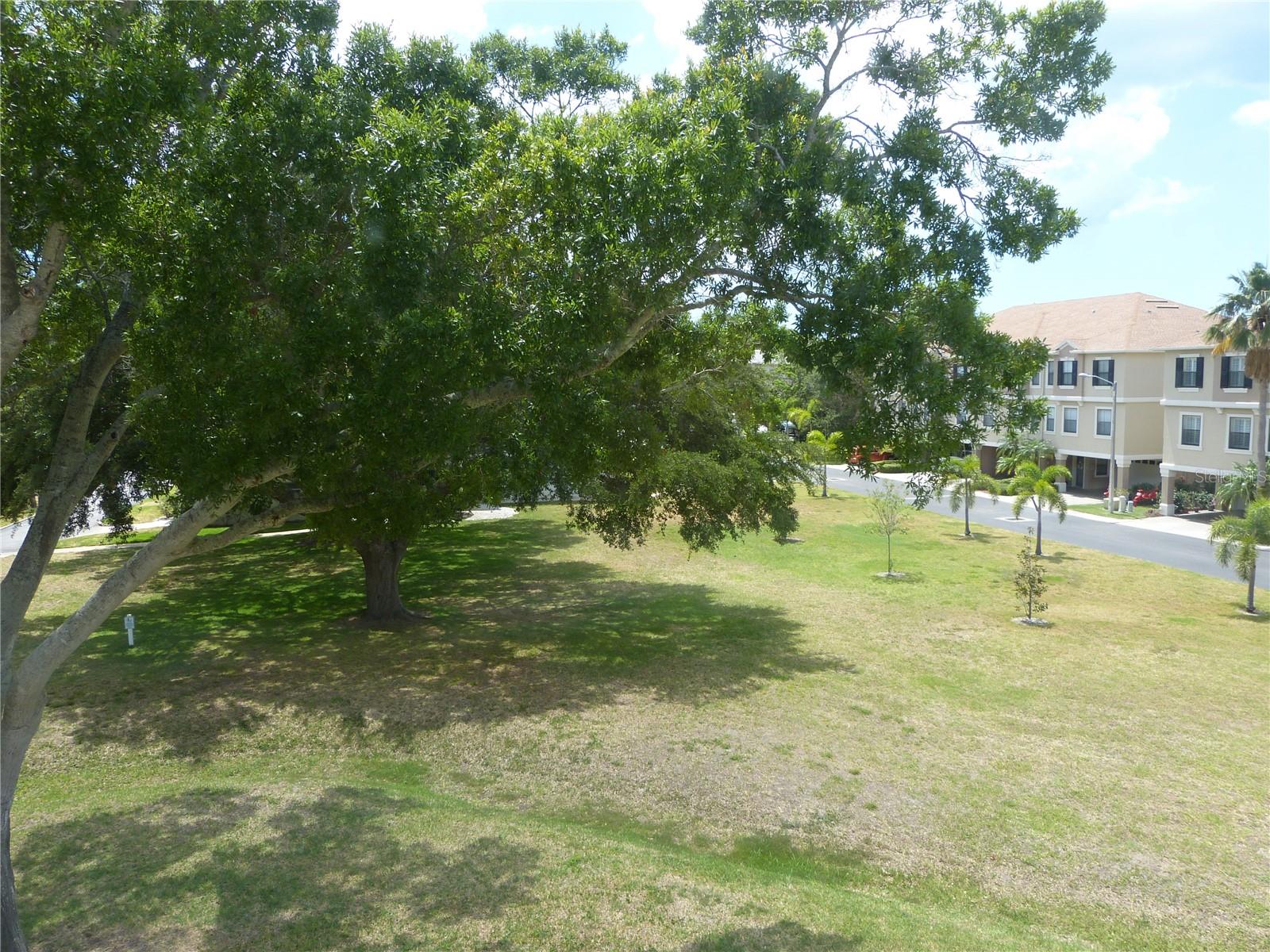 2700 BAYSHORE BLVD #4312, DUNEDIN, FL, 34698