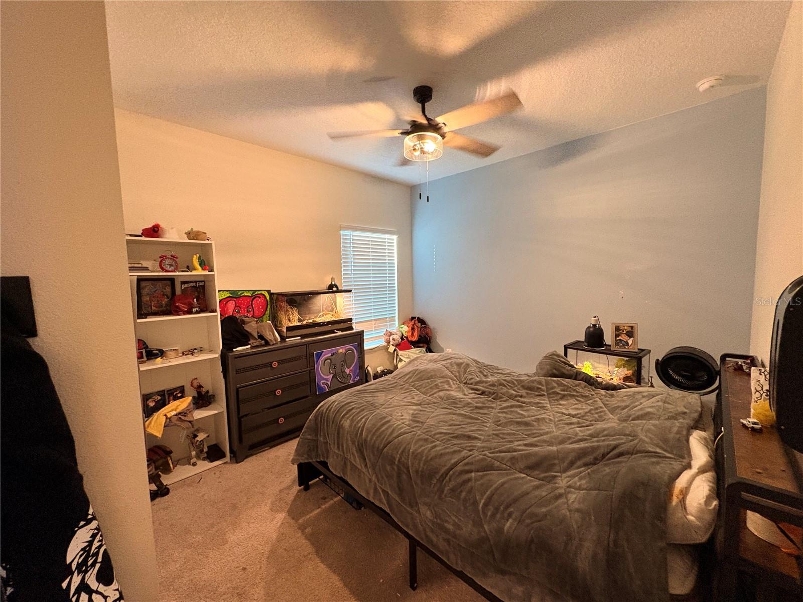 1525 NW 44TH COURT RD, OCALA, FL, 34482