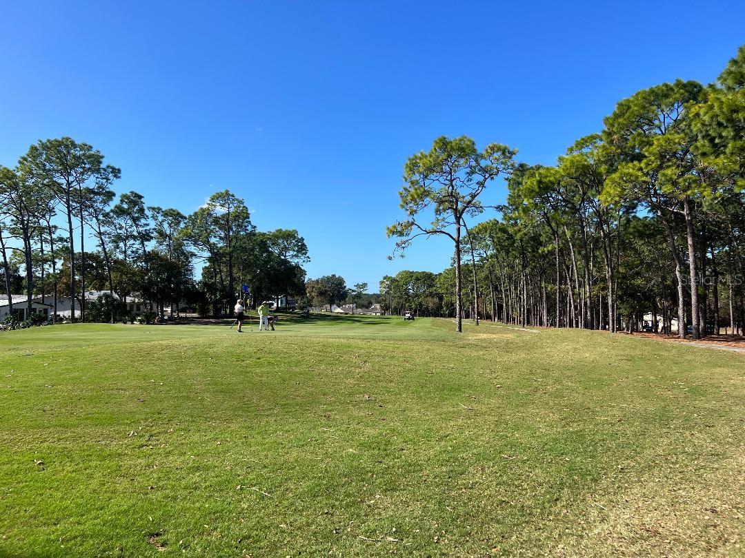 15080 RIALTO AVE, BROOKSVILLE, FL, 34613