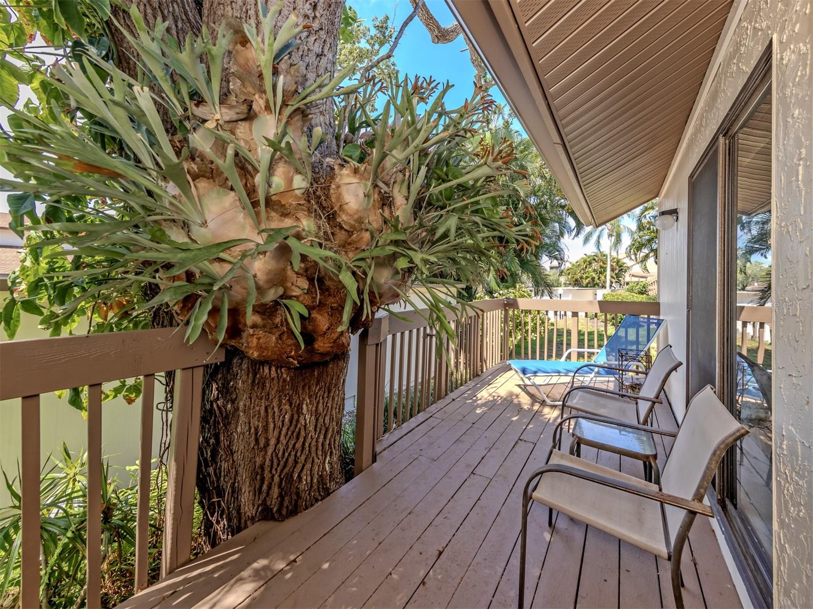 868 BIRD BAY WAY #197, VENICE, FL, 34285