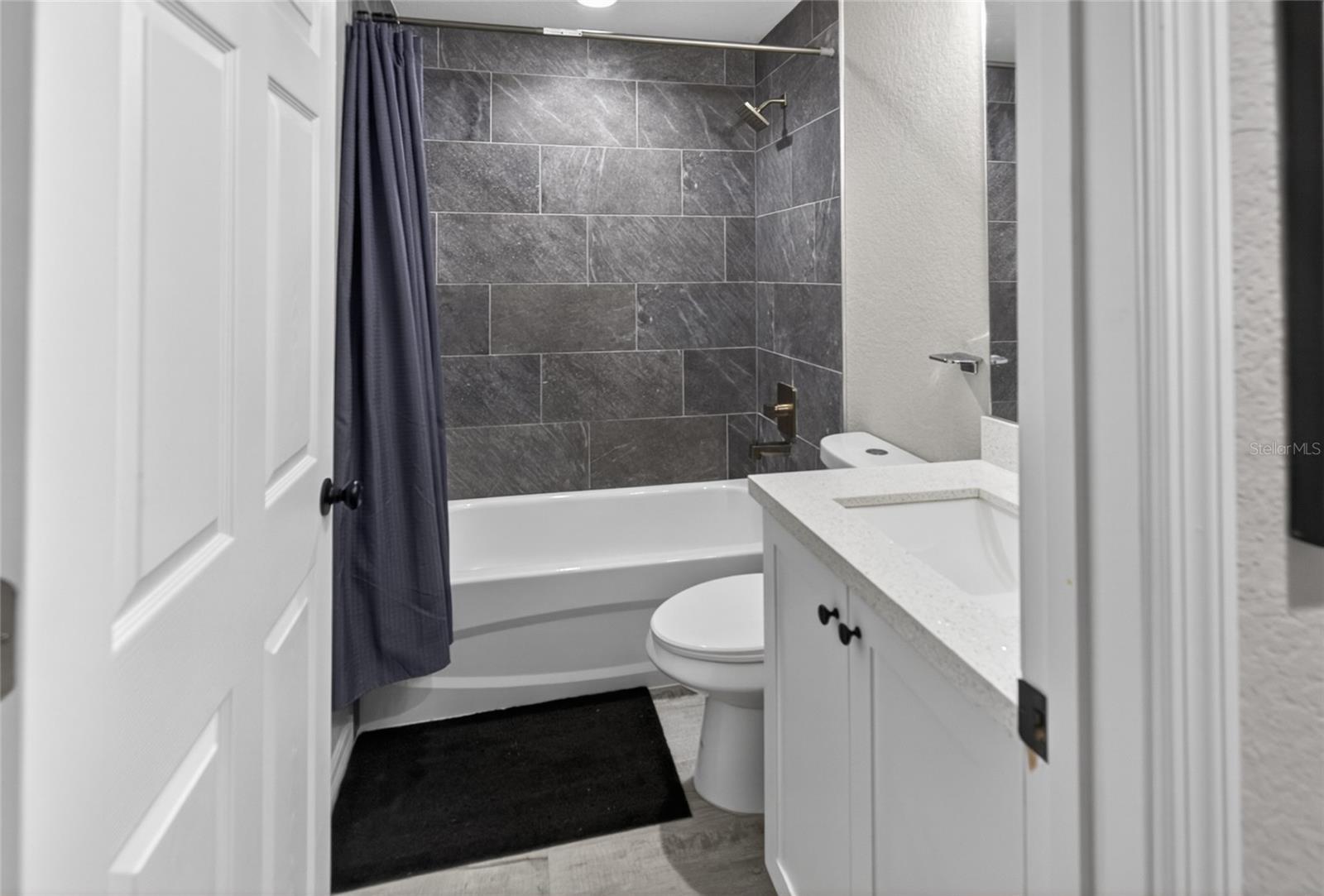 12 GUAVA TERRACE RADL, OCKLAWAHA, FL, 32179