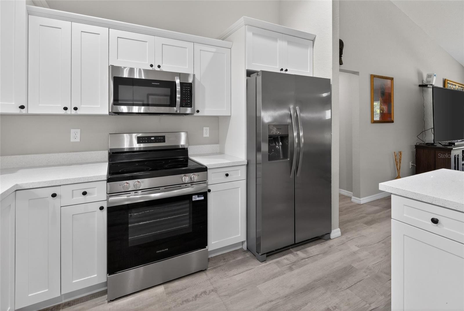 12 GUAVA TERRACE RADL, OCKLAWAHA, FL, 32179