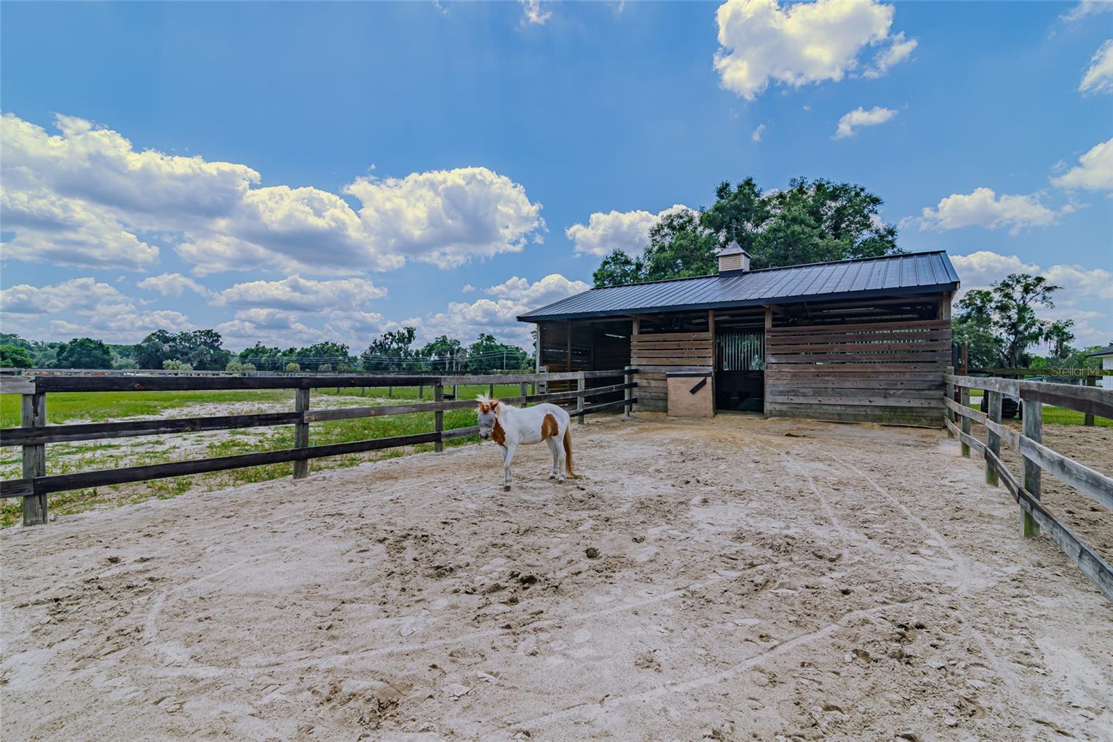 1155 E HIGHWAY 316, CITRA, FL, 32113