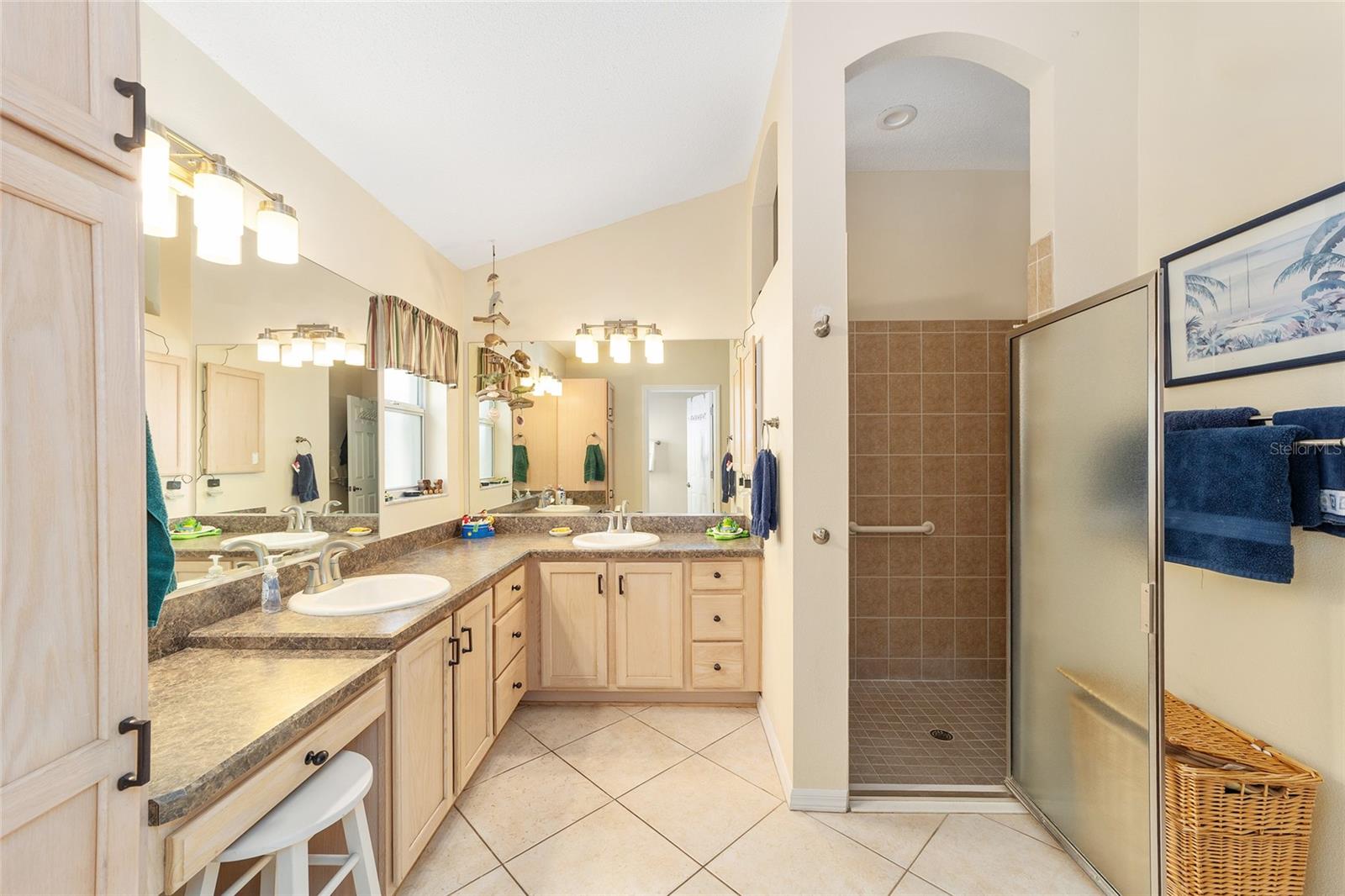 867 CASTLEBERRY CIR, THE VILLAGES, FL, 32162