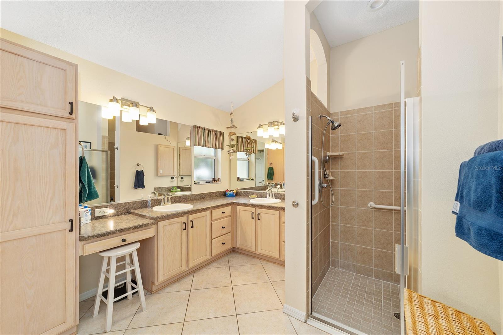 867 CASTLEBERRY CIR, THE VILLAGES, FL, 32162
