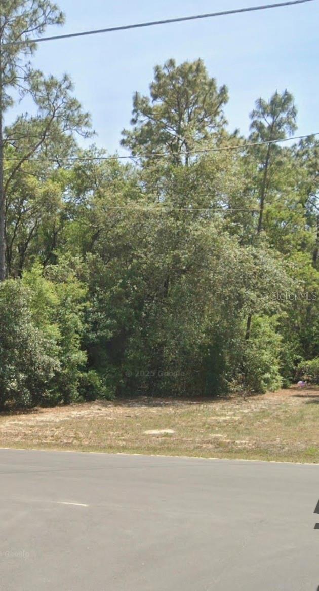 TBD LOCUST TRAK,  34472, OCALA, FL, 34472