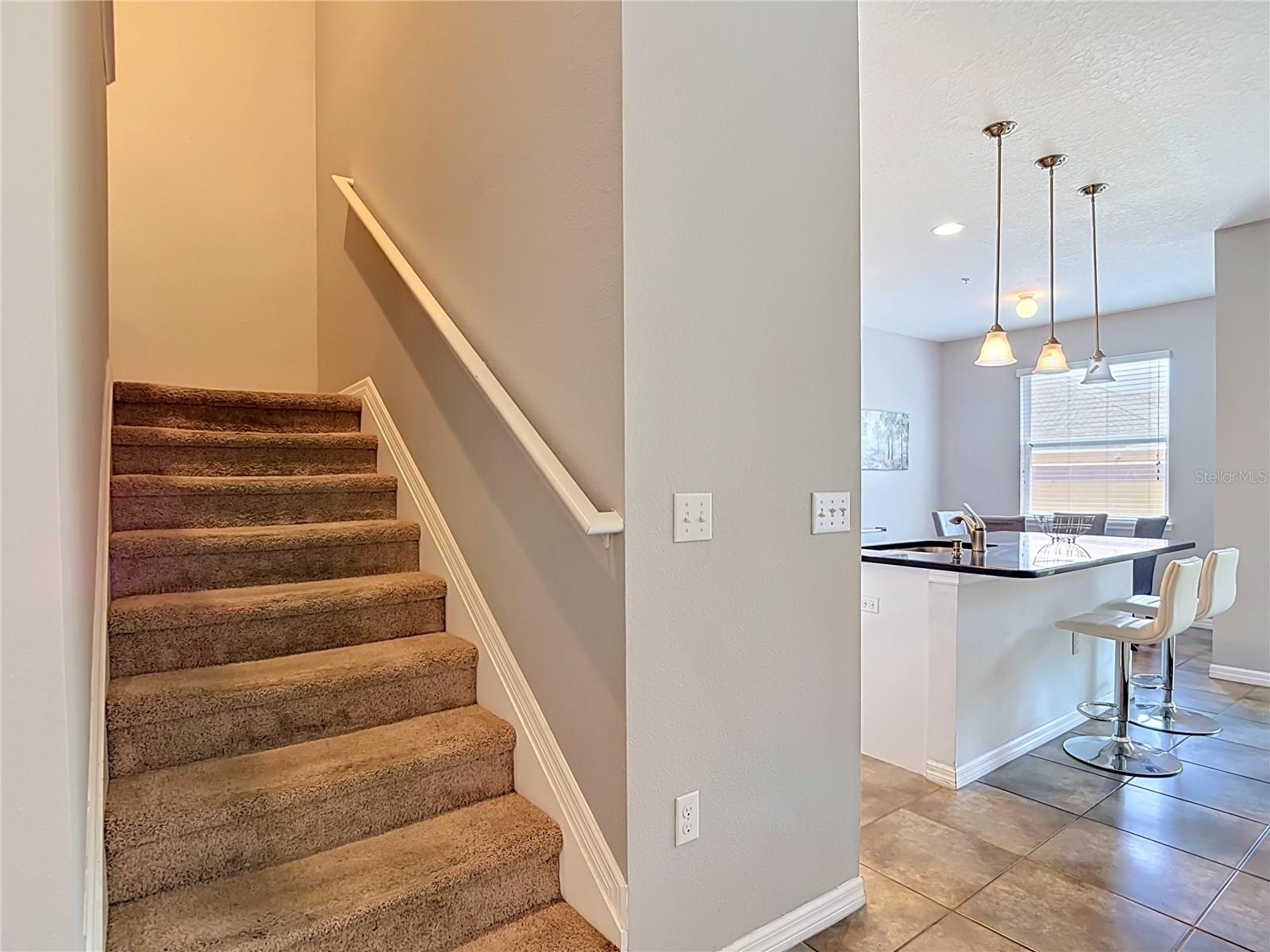 8615 ANDALUCIA FIELD DR, TAMPA, FL, 33637