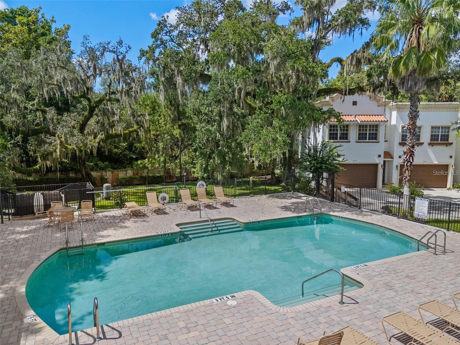 8615 ANDALUCIA FIELD DR, TAMPA, FL, 33637