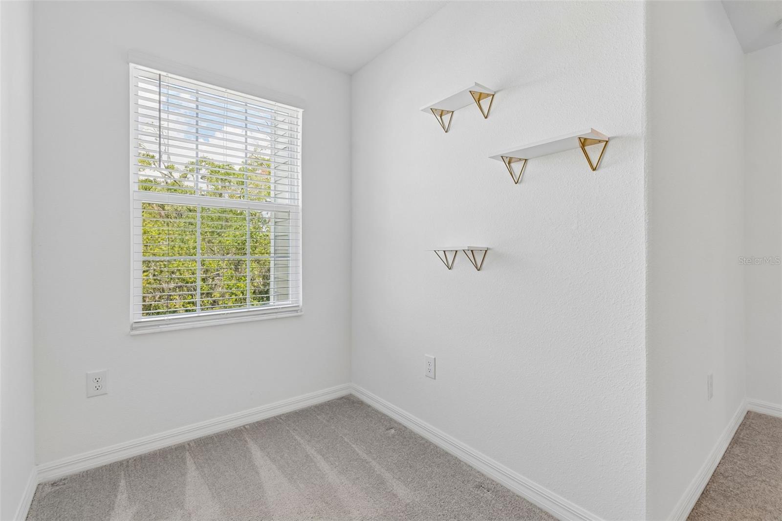 4436 TUSCAN LOON DR, TAMPA, FL, 33619