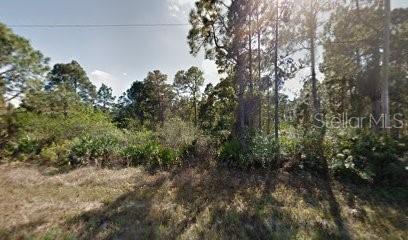 1118 COVE ST E, LEHIGH ACRES, FL, 33974