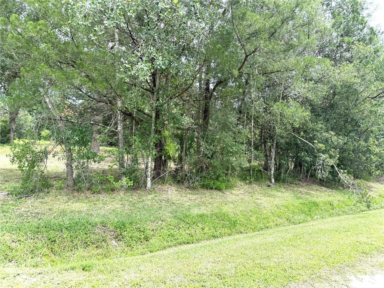 2731 8TH ST, ORLANDO, FL, 32820