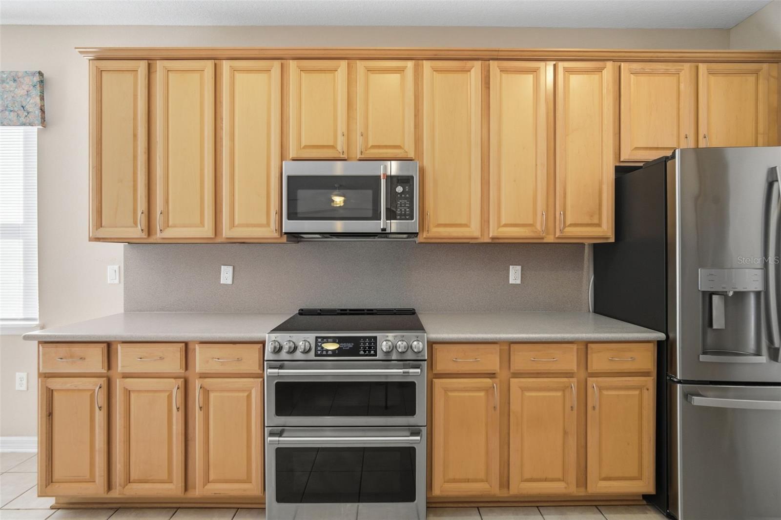 1520 RHODESWELL LN, DOVER, FL, 33527