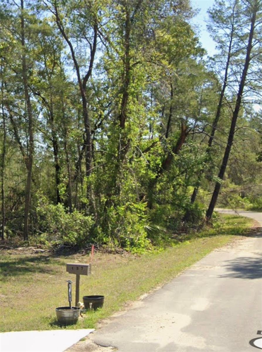 TBD FISHER CT, OCKLAWAHA, FL, 32179