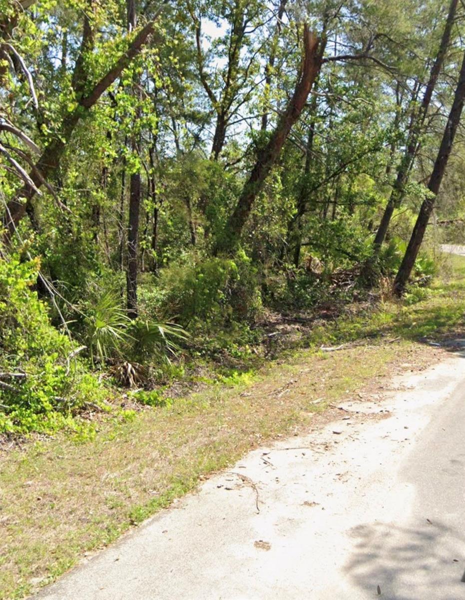 TBD FISHER CT, OCKLAWAHA, FL, 32179