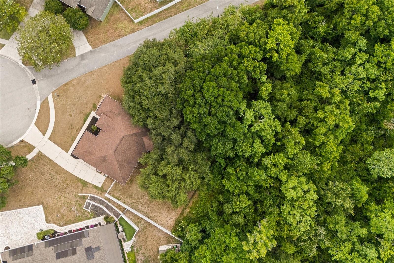 16214 ARROWHEAD TRL, CLERMONT, FL, 34711