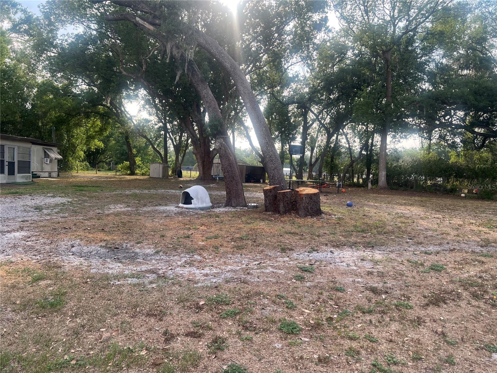 4021 LOWELL LN, ZEPHYRHILLS, FL, 33541