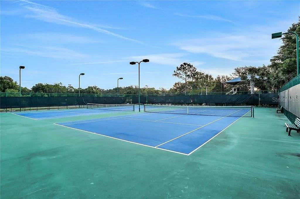 4908 HAVILLAND DR, MOUNT DORA, FL, 32757