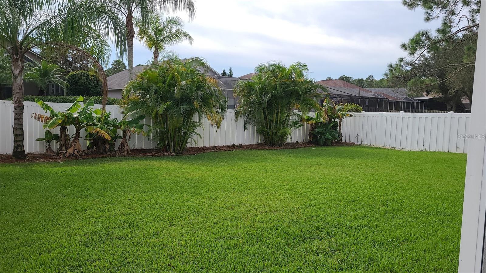 12518 SPARKLEBERRY RD, TAMPA, FL, 33626