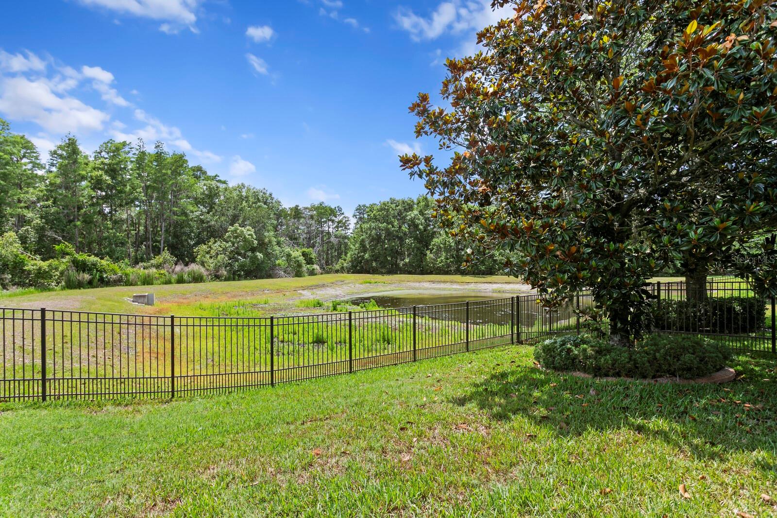 3122 MAJESTIC VIEW DR, LUTZ, FL, 33558