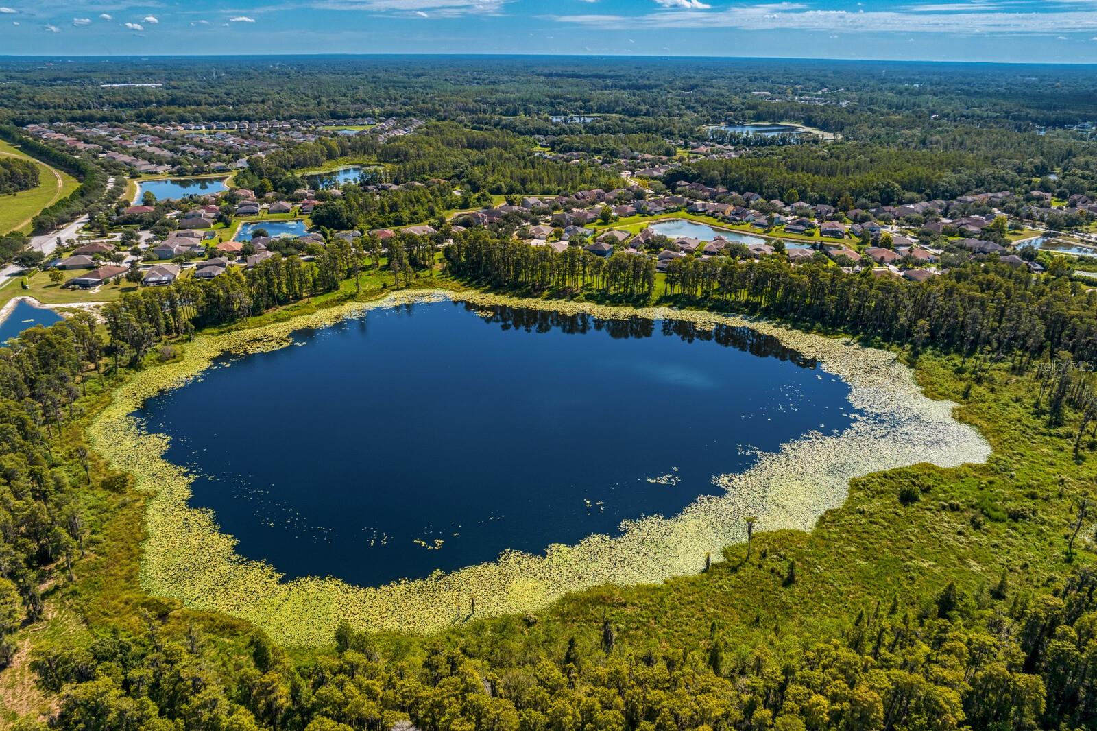 3122 MAJESTIC VIEW DR, LUTZ, FL, 33558