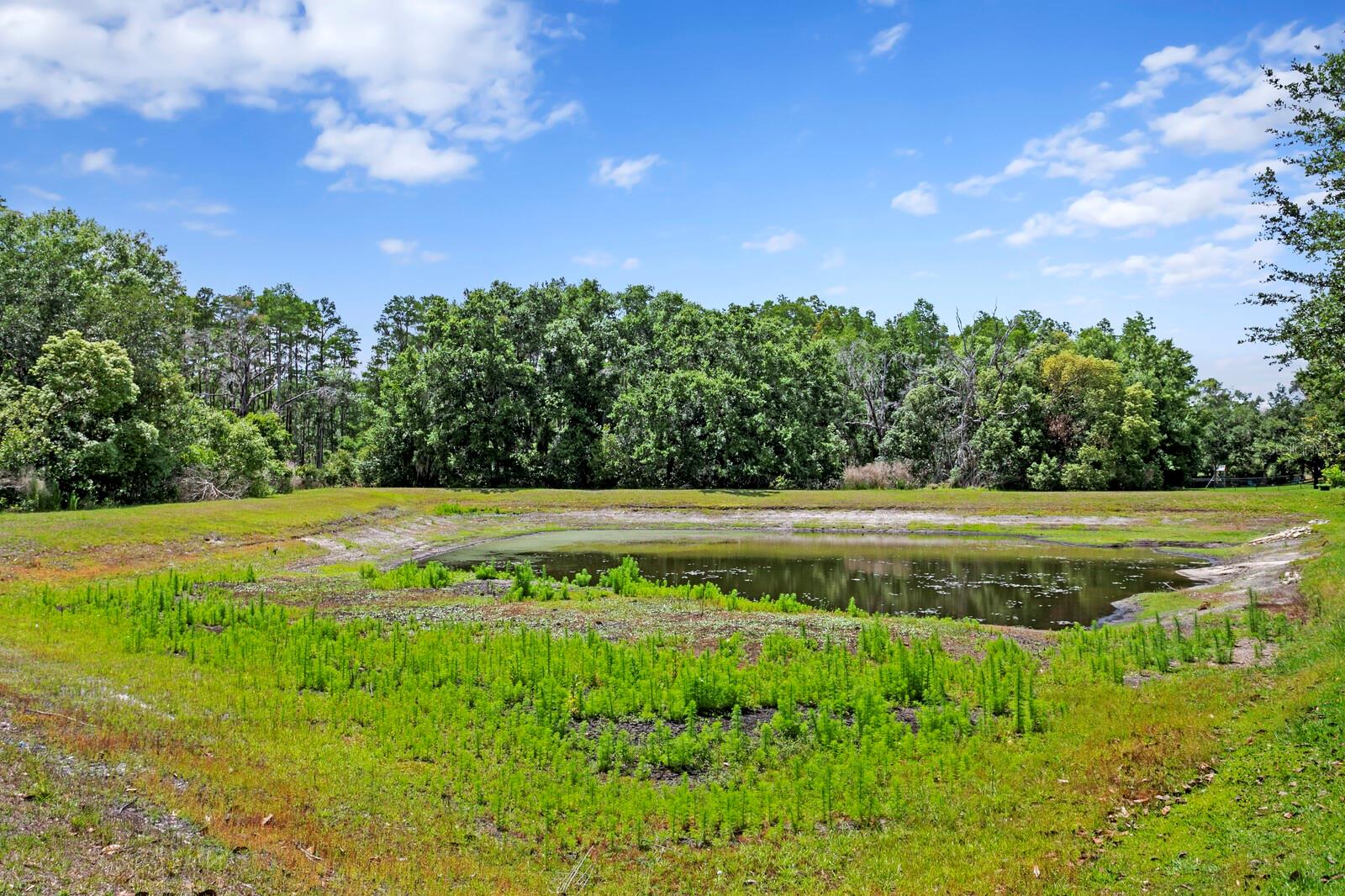 3122 MAJESTIC VIEW DR, LUTZ, FL, 33558