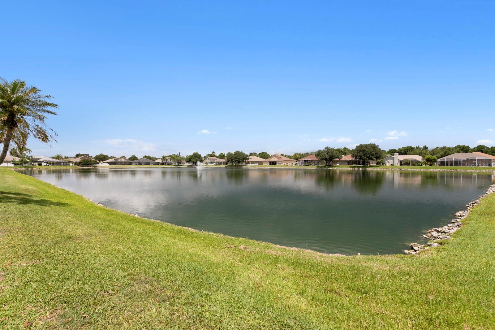 22953 BAY CEDAR DR, LAND O LAKES, FL, 34639
