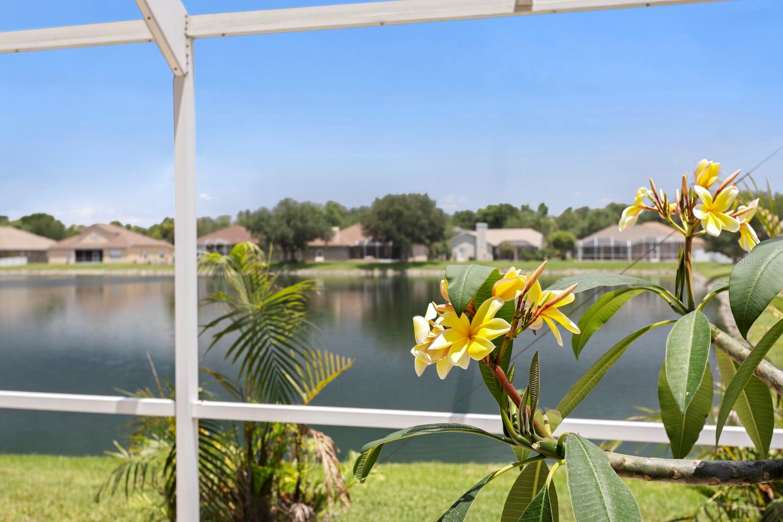 22953 BAY CEDAR DR, LAND O LAKES, FL, 34639
